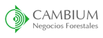 Cambium